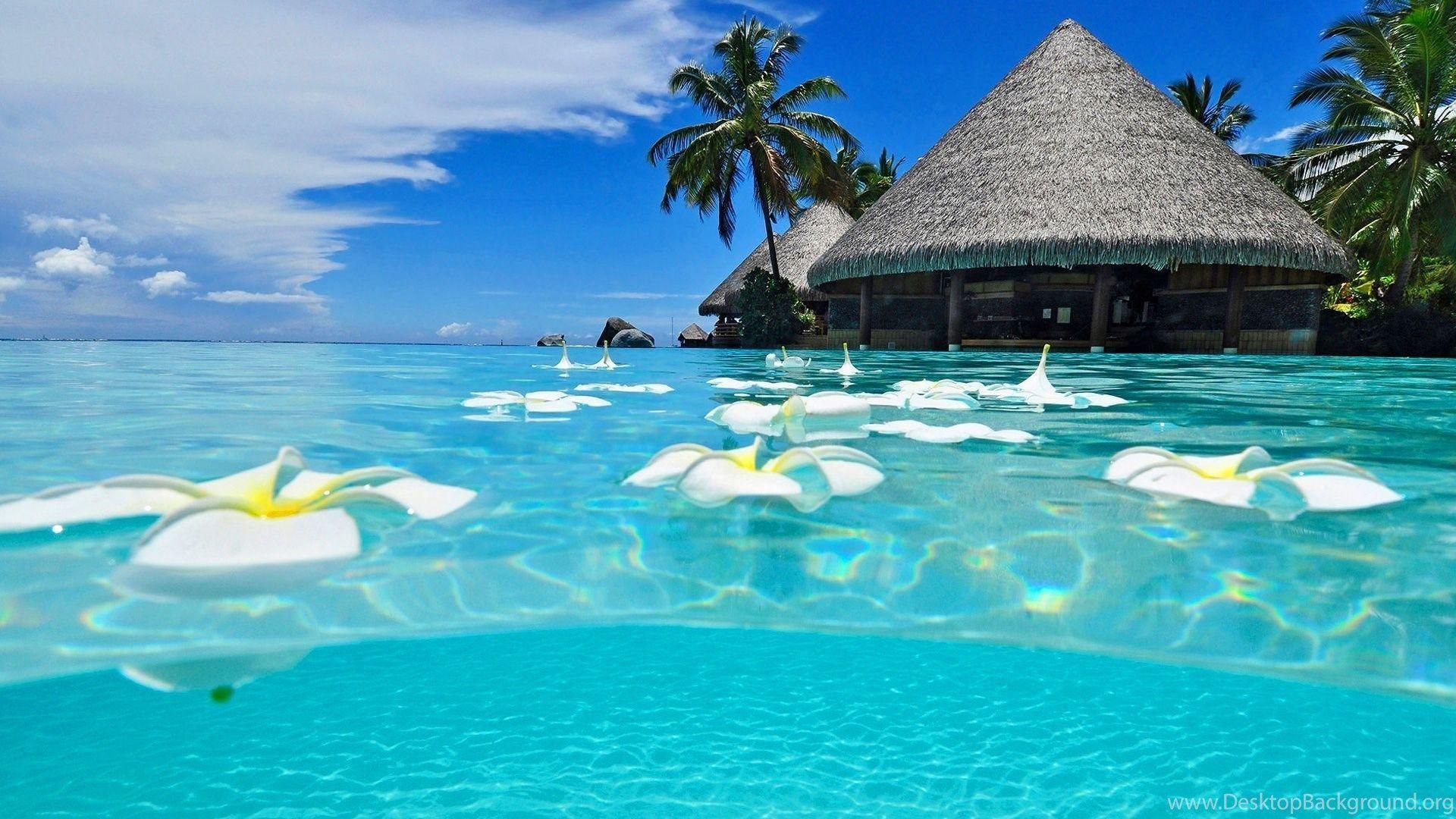 1920x1080 Exotic Tropical Island Wallpaper