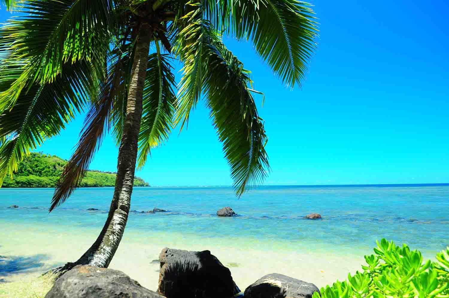 1500x996 Hawaiian Islands Wallpaper for Android