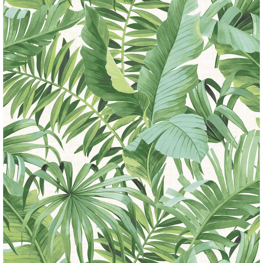 1000x1000 56.4 sq. ft. Alfresco Green Palm Leaf Wallpaper