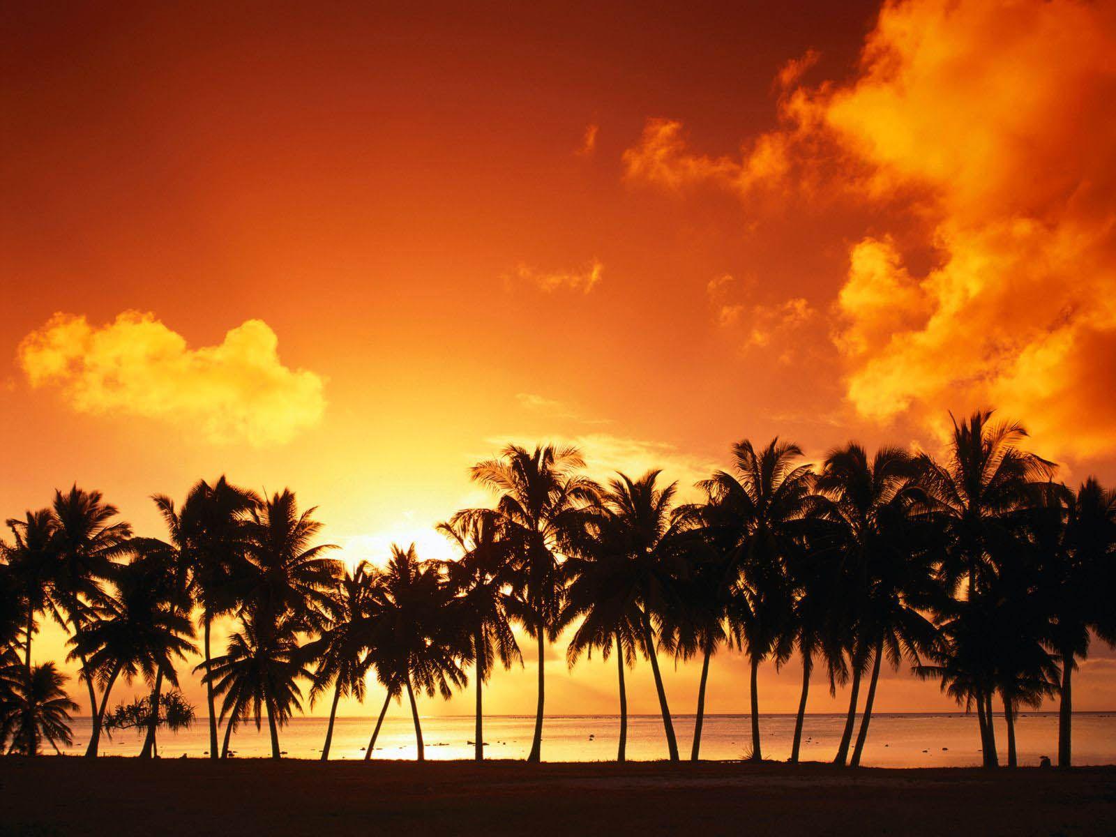 1600x1200 wallpaper: Island Sunset Wallpaper