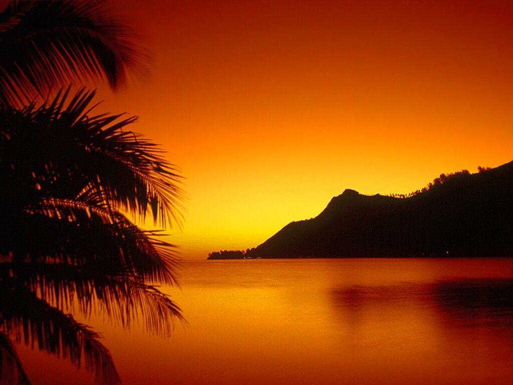 1024x768 Tropical Island Sunset Wallpaper Wallpaper 1024x768