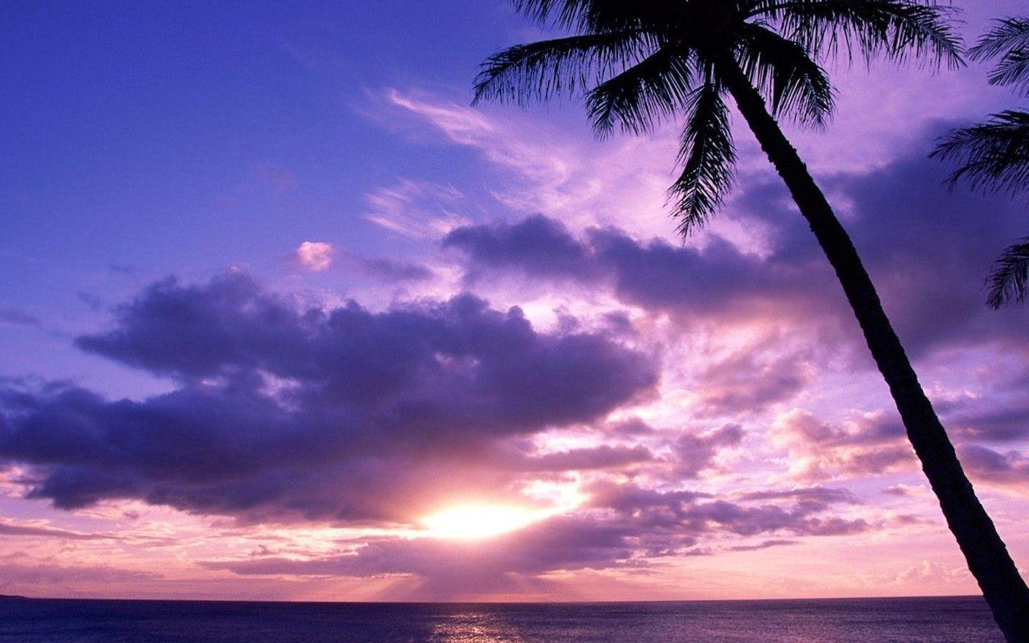 1440x900 Image detail for -Free Paradise Island Landscapes Sunset 1