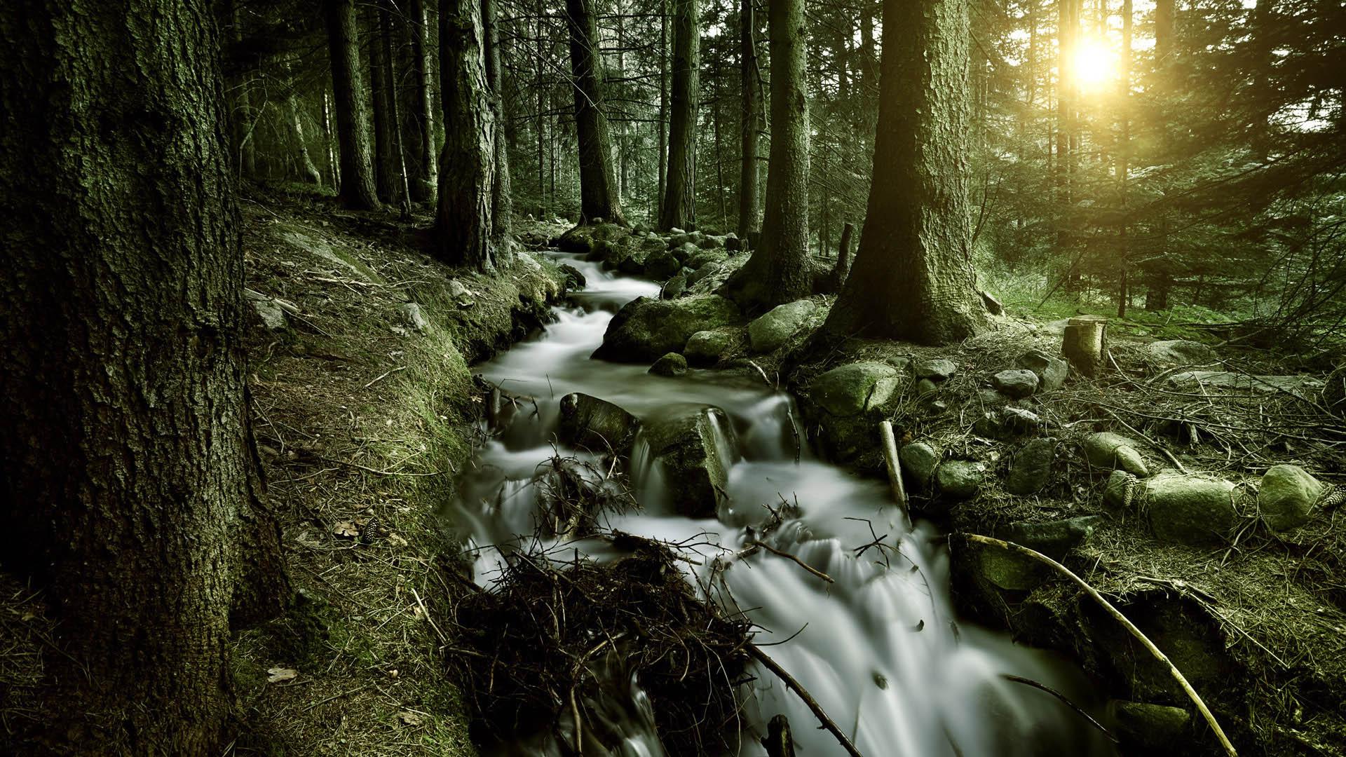 1920x1080 Download Nature HD Wallpaper For Lapx1080 Free