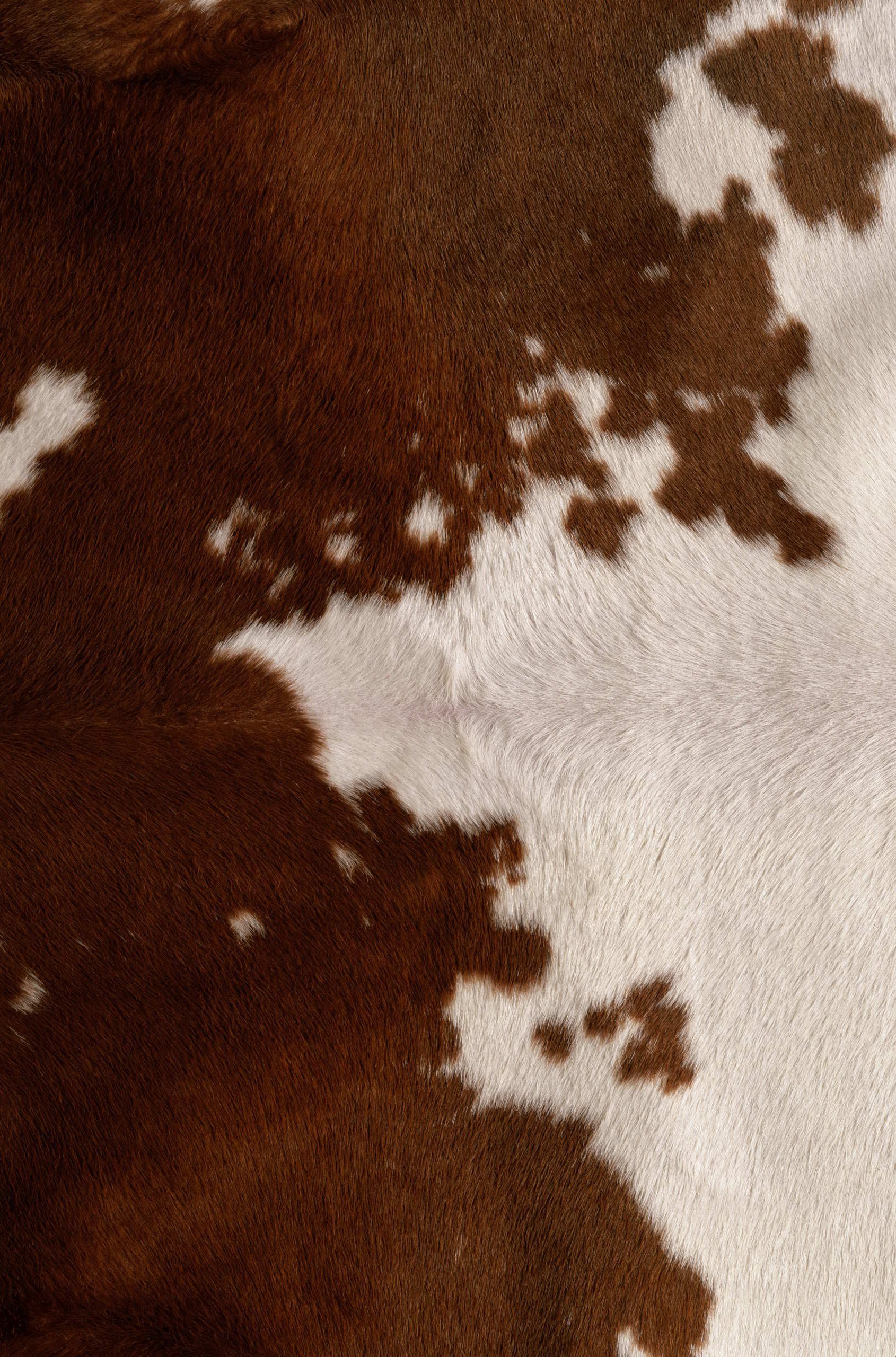 Cow Hide Wallpapers - Top Free Cow Hide Backgrounds - WallpaperAccess