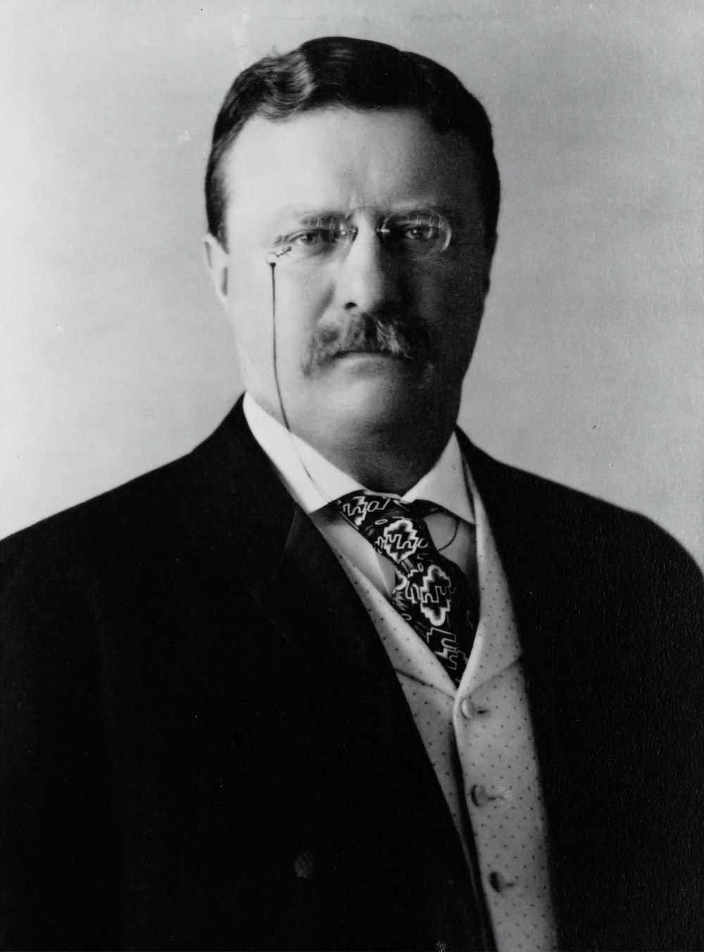 1000x1352 Theodore Roosevelt Picture. Download Free Image