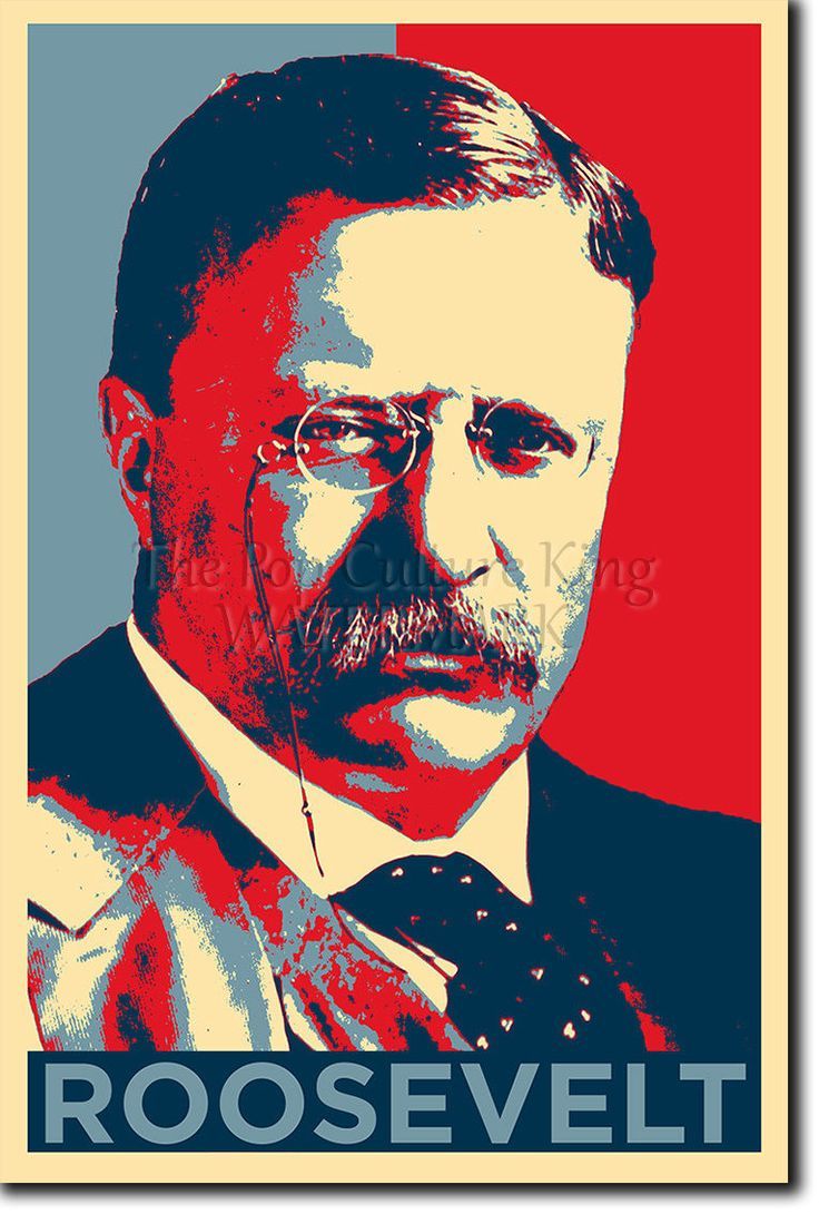 Teddy Roosevelt Wallpapers Top Free Teddy Roosevelt Backgrounds