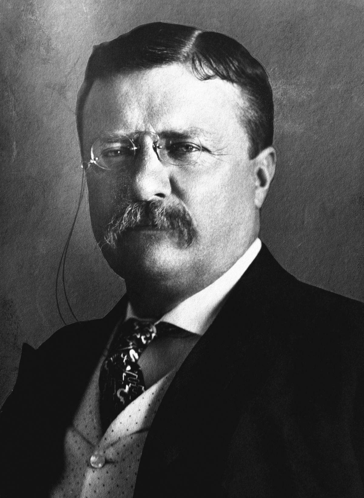 Teddy Roosevelt Wallpapers - Top Free Teddy Roosevelt Backgrounds ...