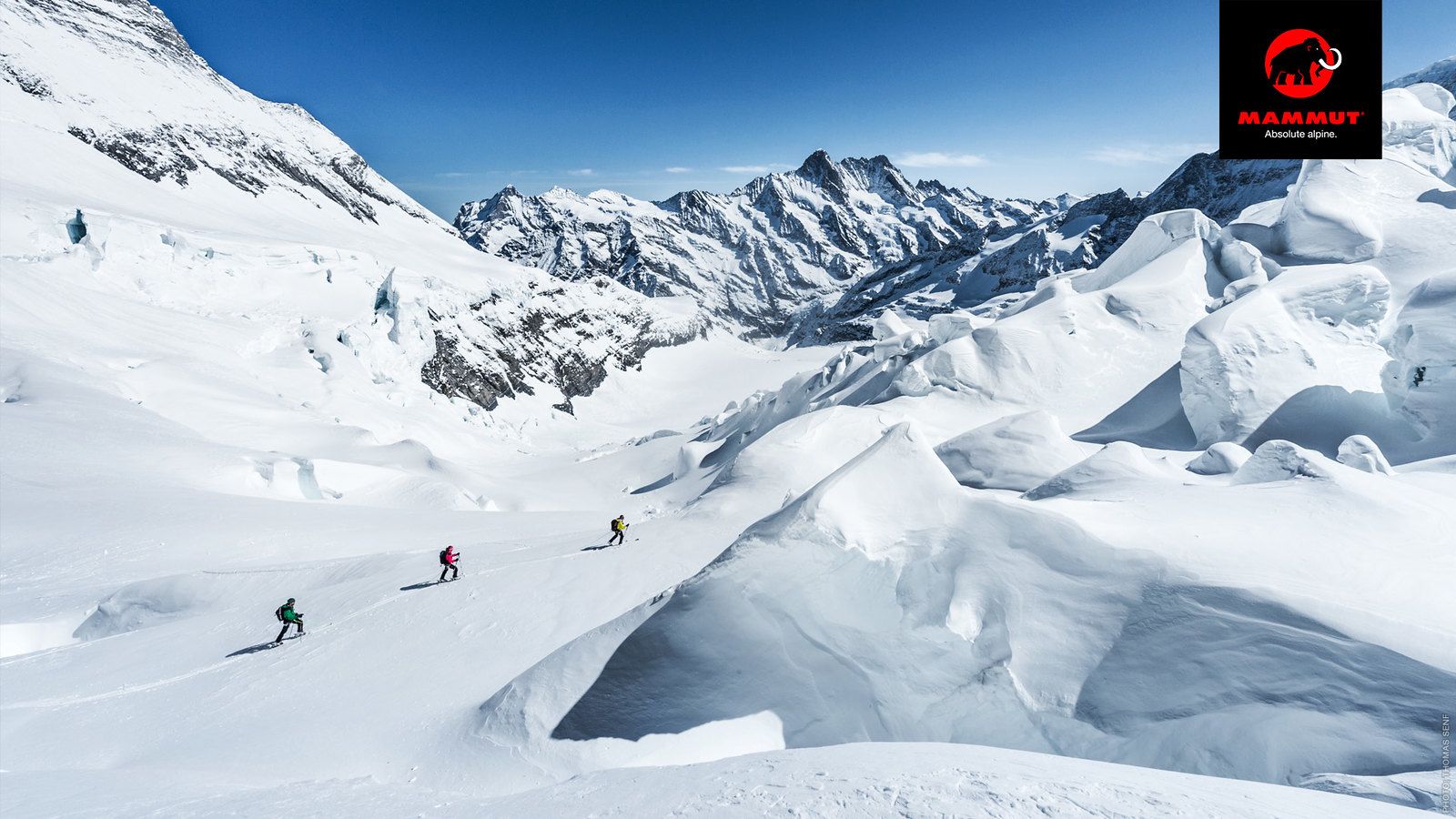 Mammut Wallpapers - Top Free Mammut Backgrounds - WallpaperAccess