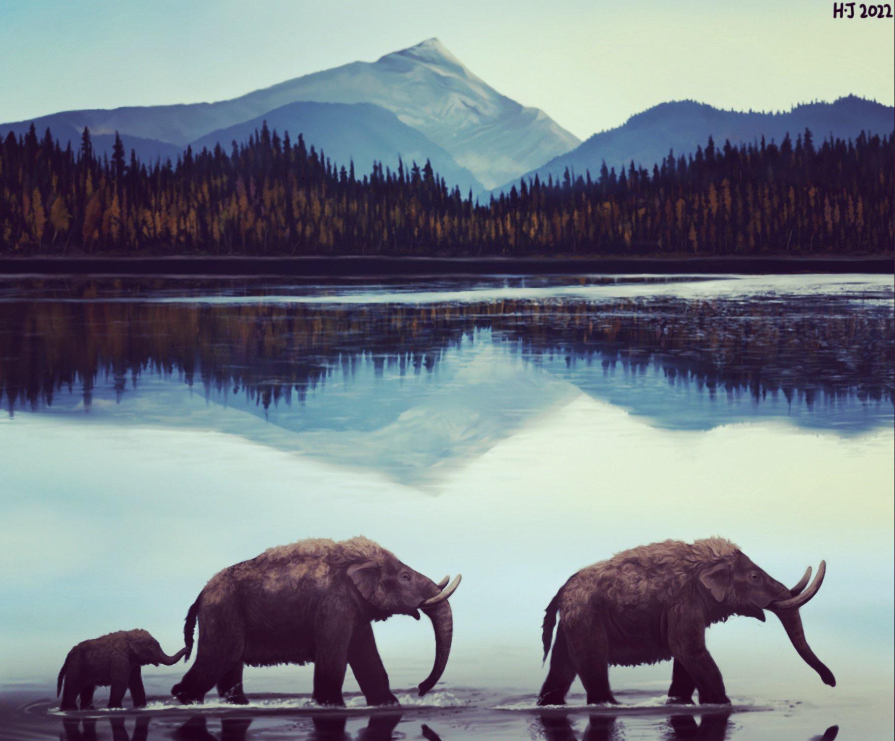 1819x1506 Pacific Mastodons Mammut pacificus