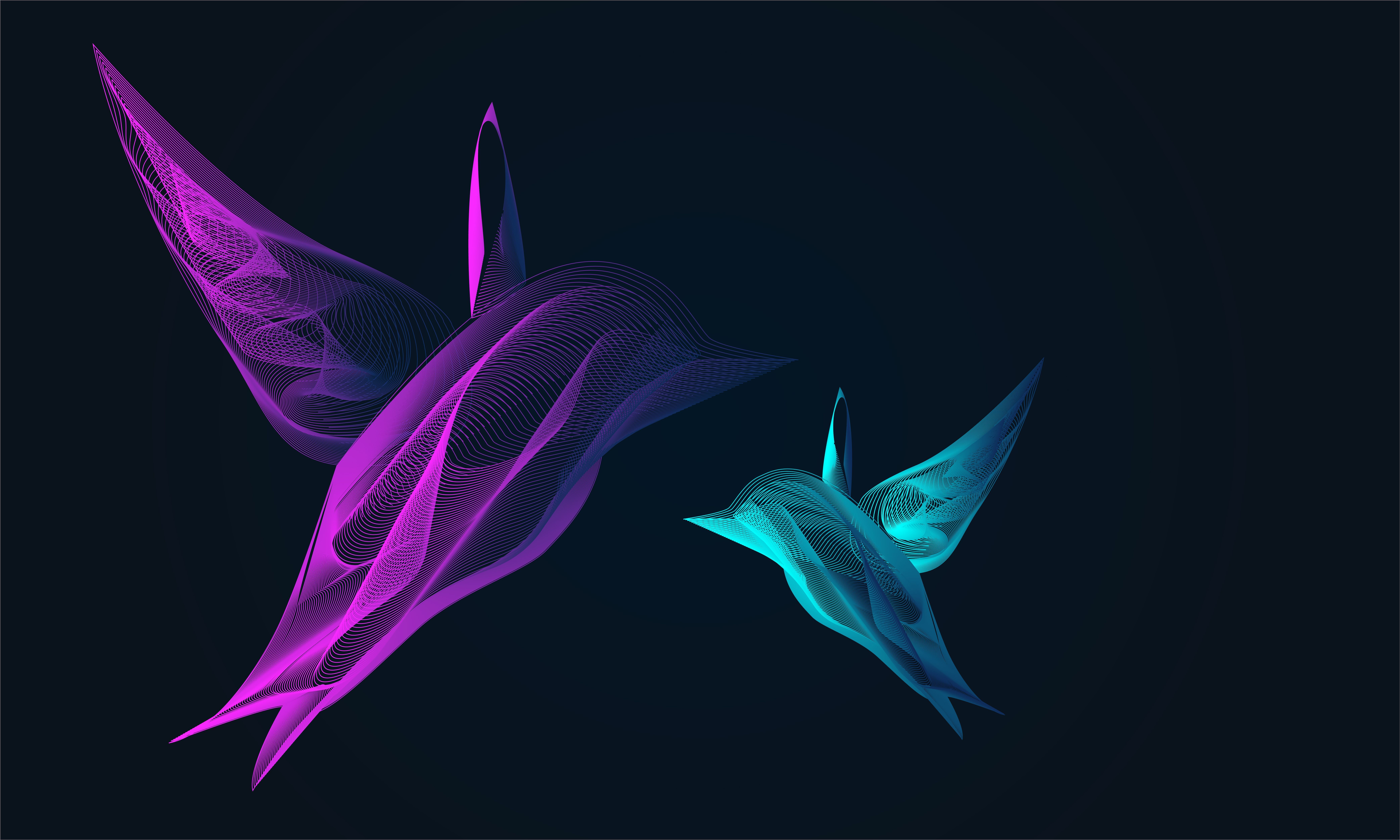 8339x5006 Dolphin Vector Illustration 8k, HD