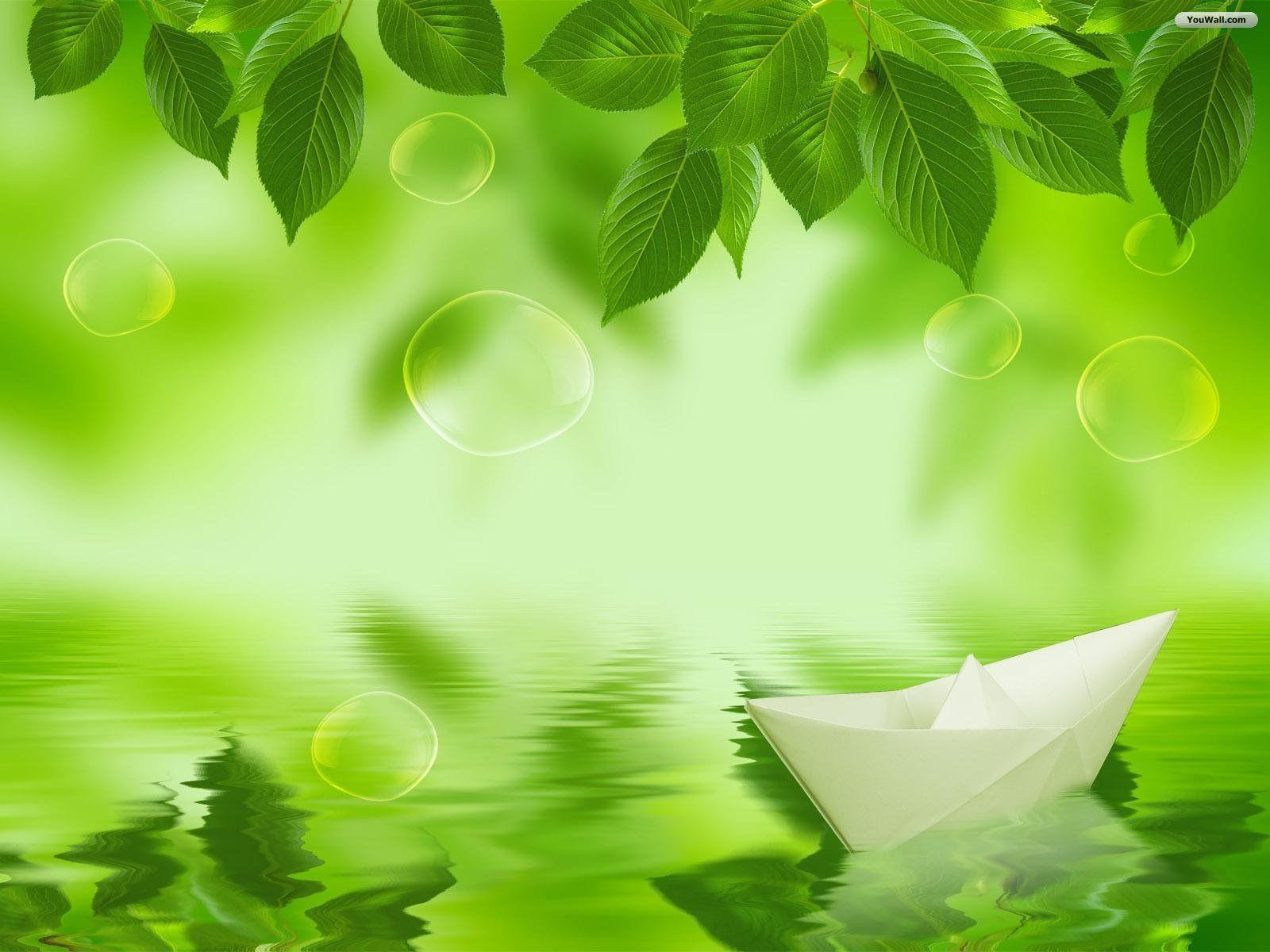 Green Leaves Wallpapers Top Free Green Leaves Backgrounds Wallpaperaccess