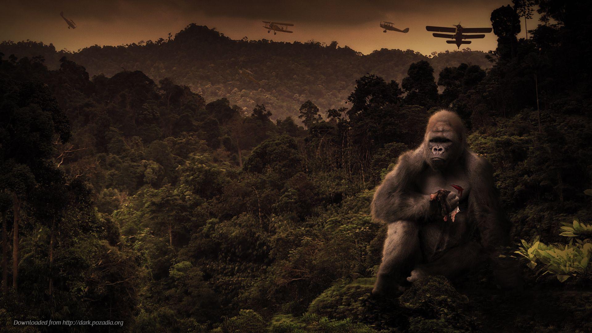 King Kong Wallpapers Top Free King Kong Backgrounds WallpaperAccess