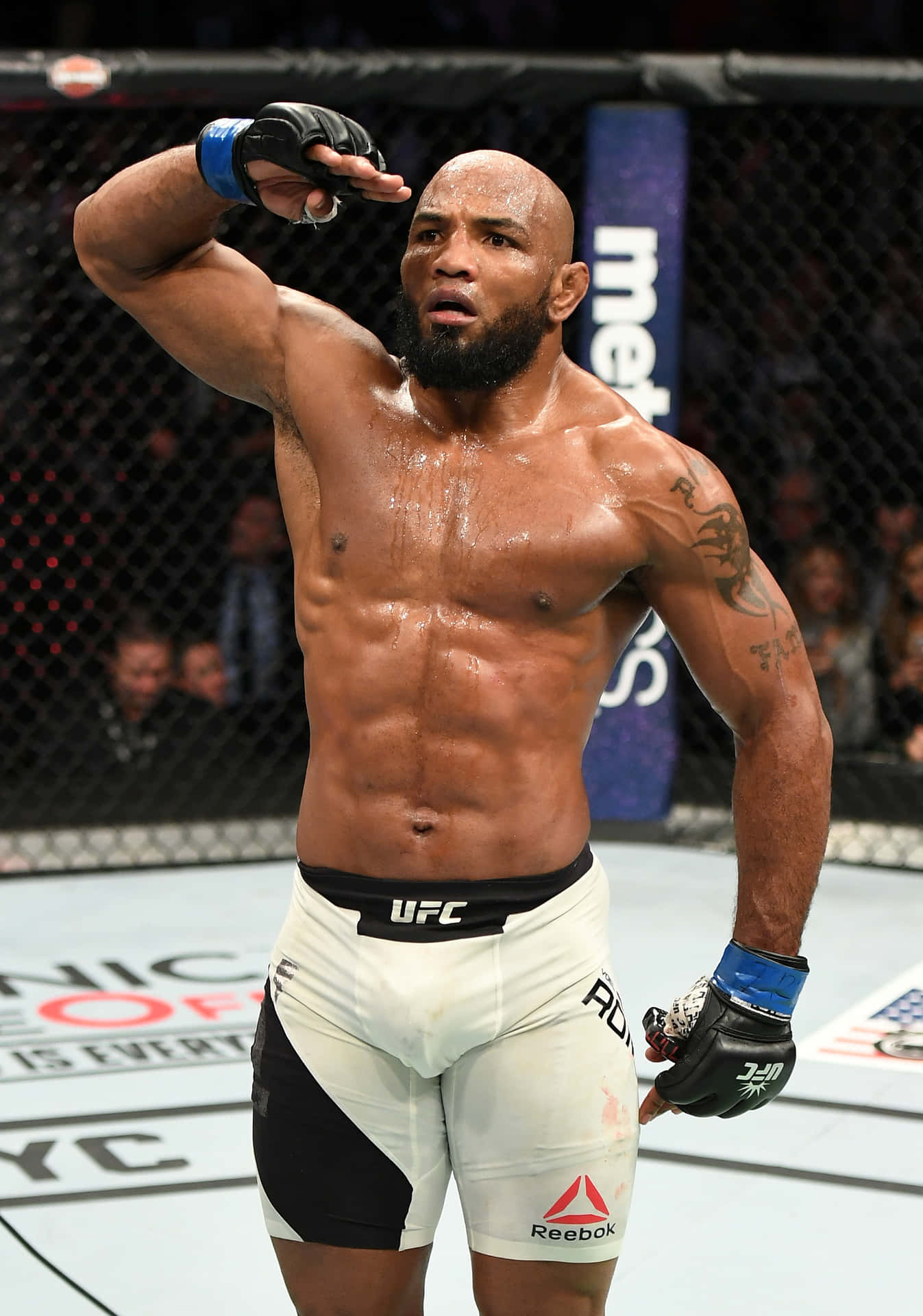 Yoel Romero's Cuban Experiment: A Story Of Athletic Transformation