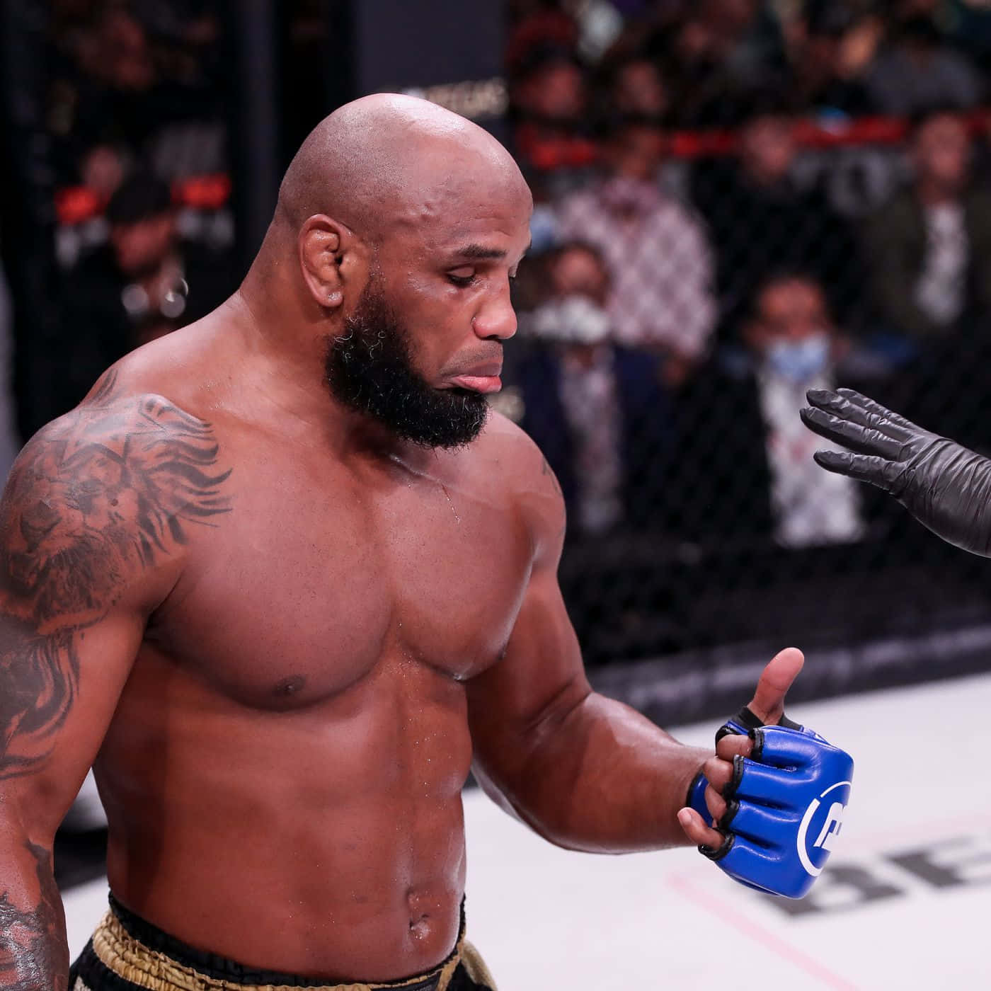 Yoel Romero Wallpapers - Top Free Yoel Romero Backgrounds - WallpaperAccess