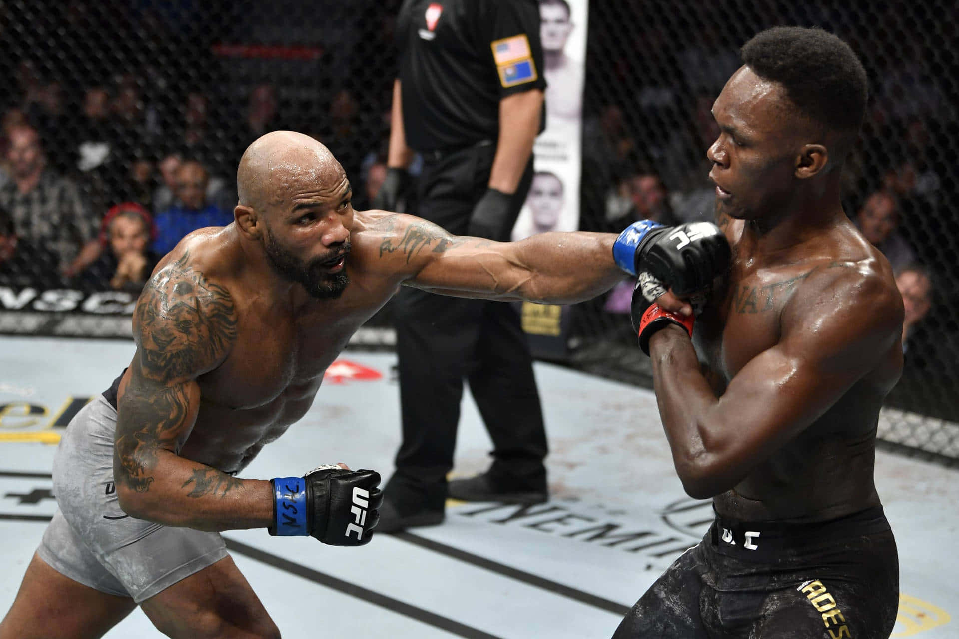 1920x1280 UFC Middleweight Championship Wallpaper
