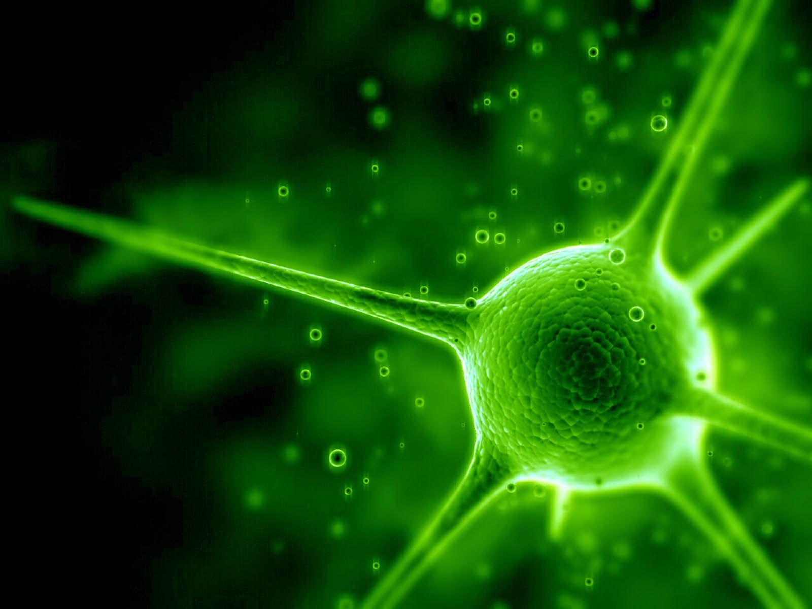 1600x1200 wallpaper: Green Abstract Wallpaper