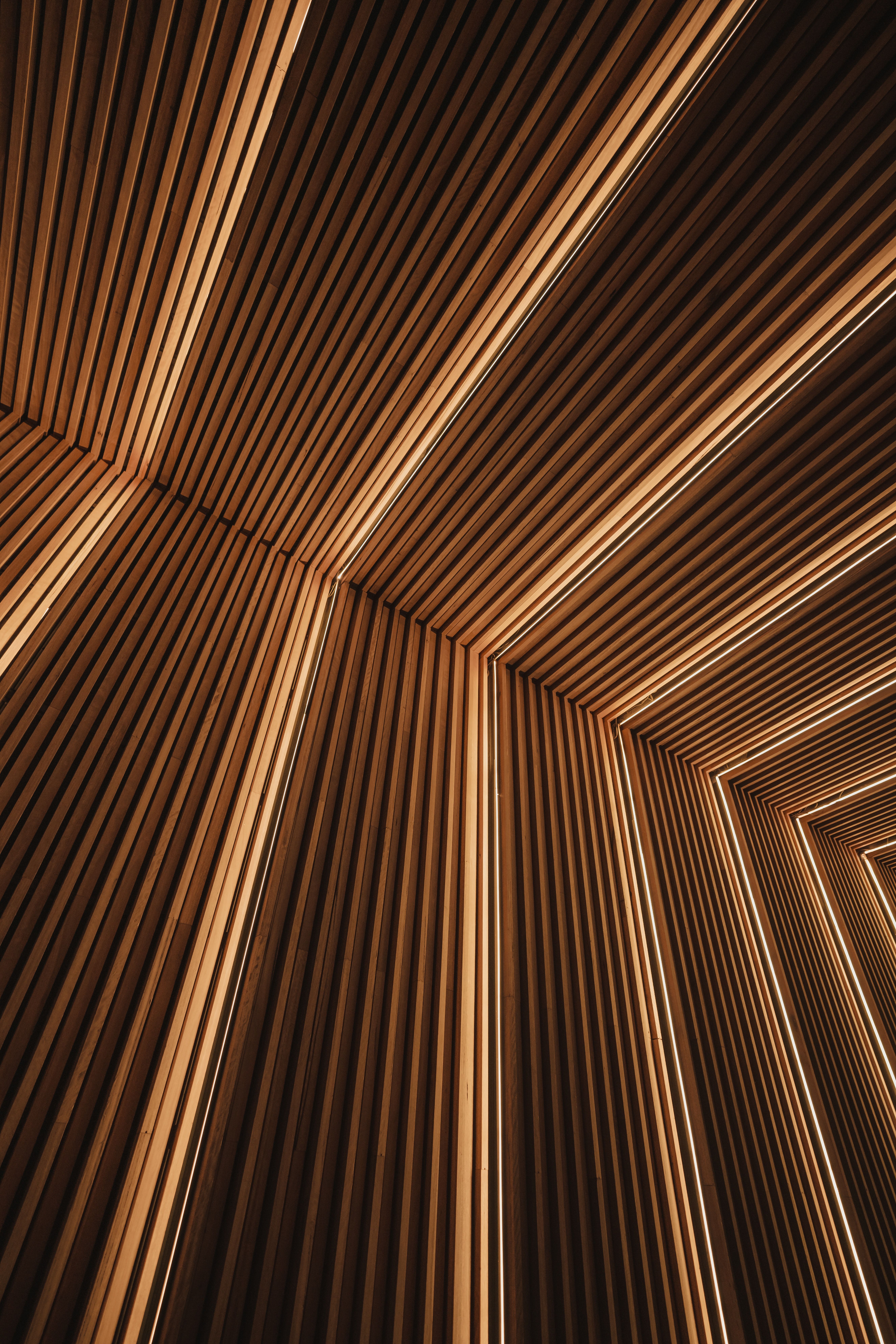 5304x7952 Download Brown wallpaper for mobile