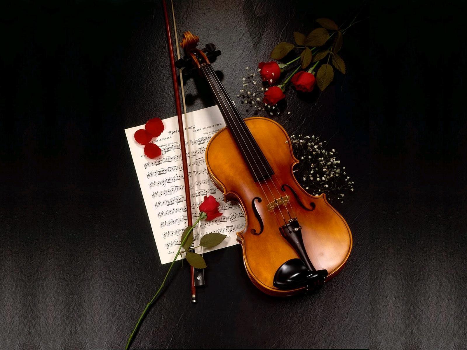 1600x1200 Violin Wallpaper for Android
