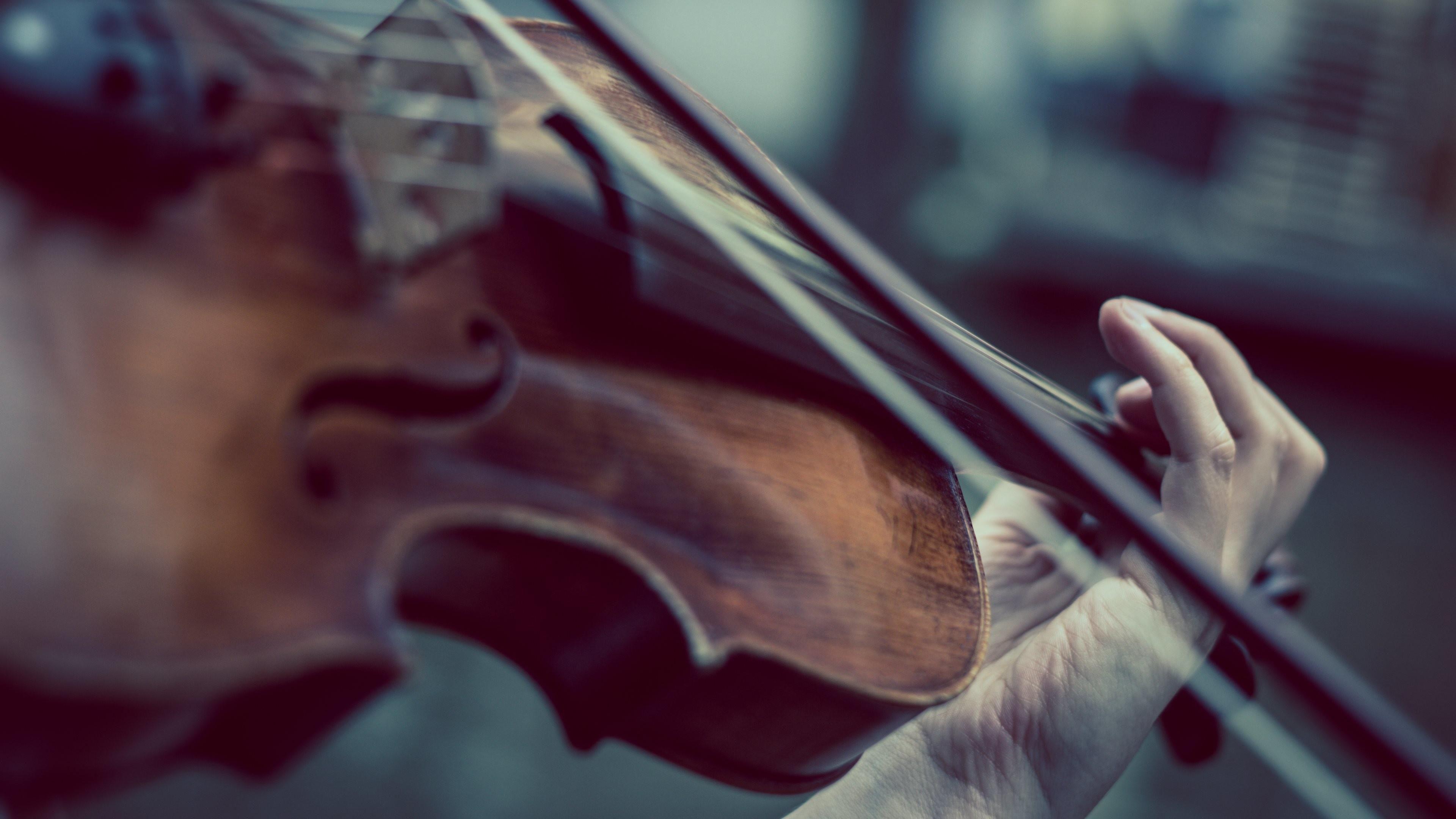 3840x2160 Beautiful Violin Wallpaper Nice Wallpaper