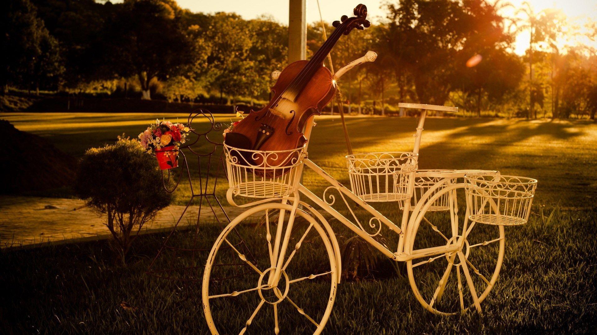 1920x1080 Violin Desktop Wallpaper, High Definition, High
