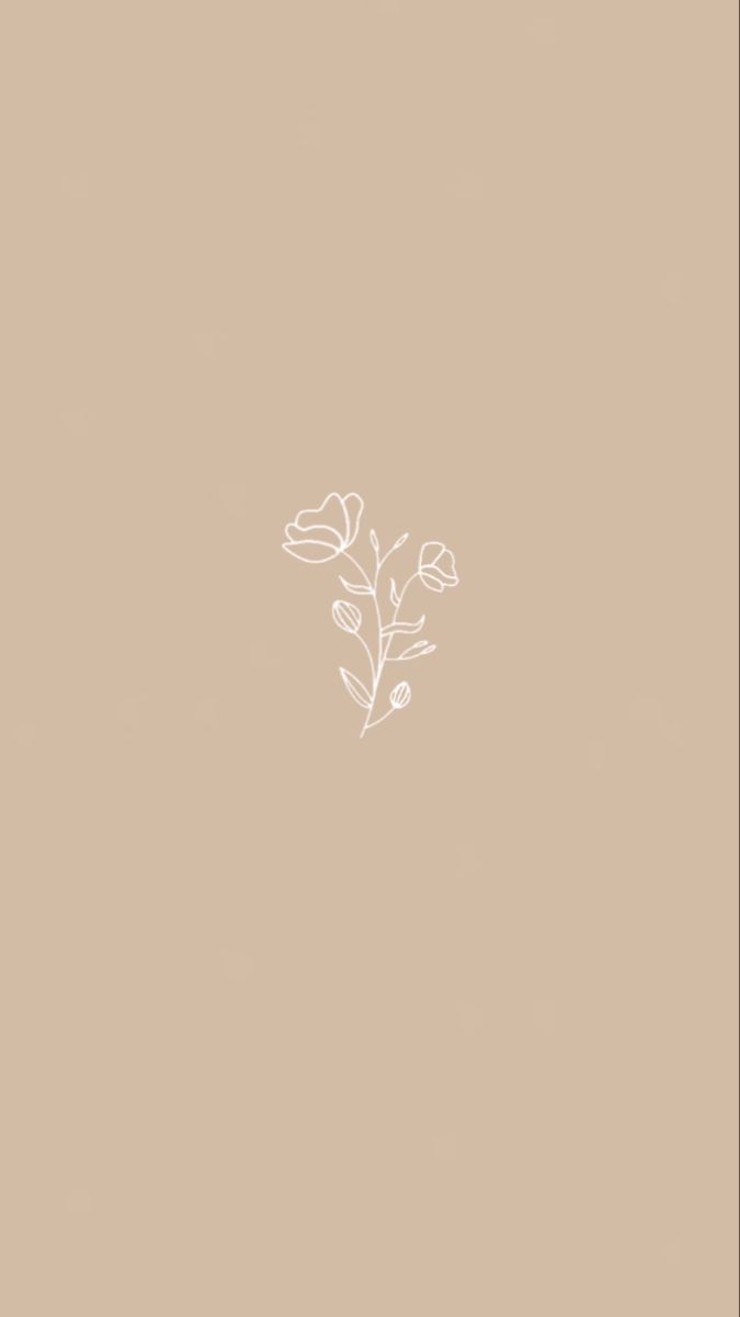 675x1200 Neutral Aesthetic Background
