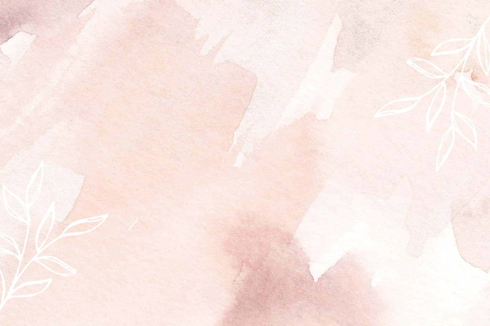 1600x1067 Neutral Background Background
