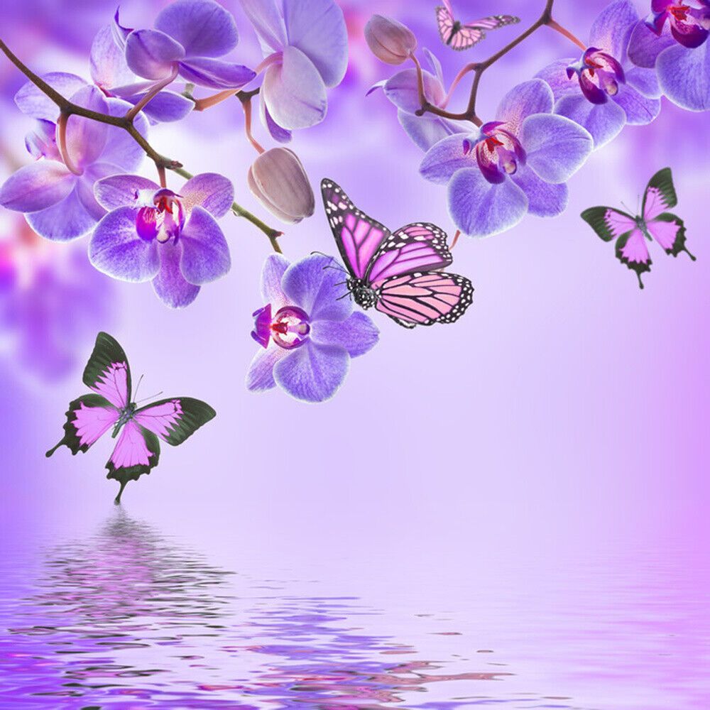 1000x1000 Orchid Flowers Wall Mural Wallpaper