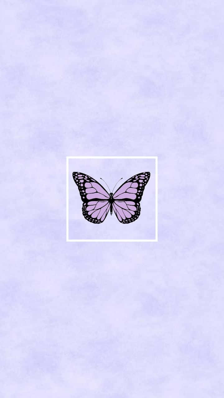 720x1280 Cute Purple Butterfly Wallpaper