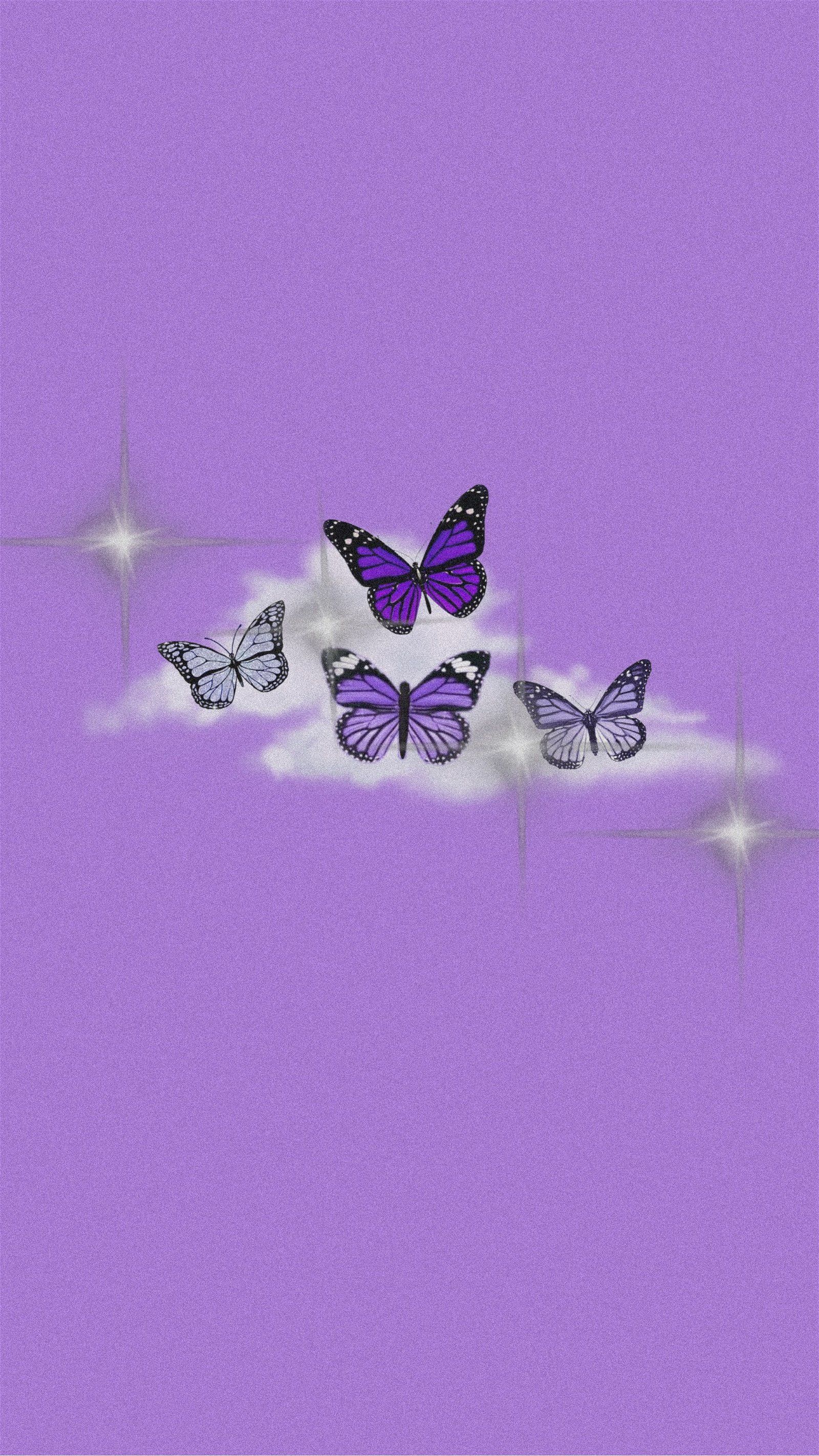 Lilac Butterfly Wallpapers - Top Free Lilac Butterfly Backgrounds ...