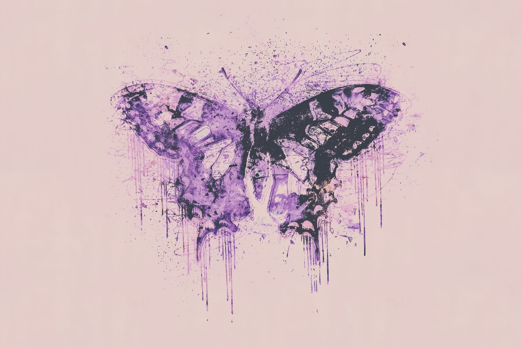 1800x1200 Artsy Purple Butterfly Wallpaper
