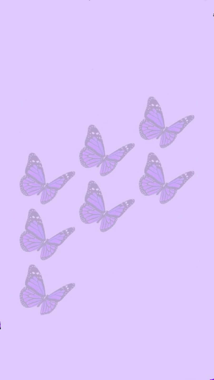 900x1600 Cute Light Purple Butterflies Wallpaper