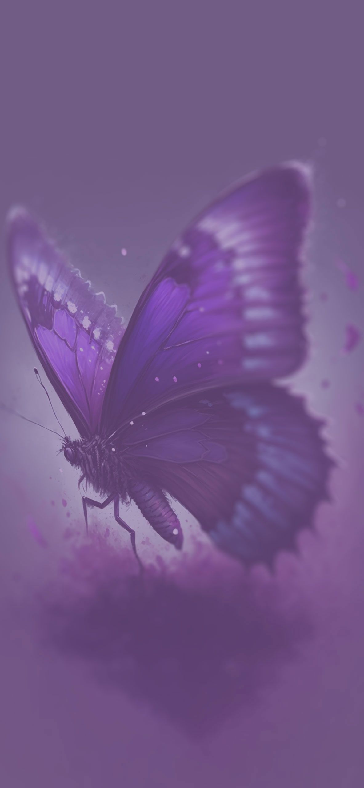 1183x2560 Purple Butterfly Wallpaper