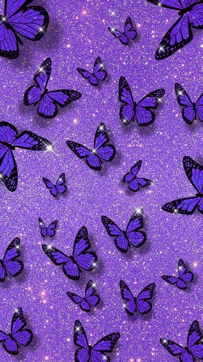 675x1200 butterfly wallpaper. Purple butterfly