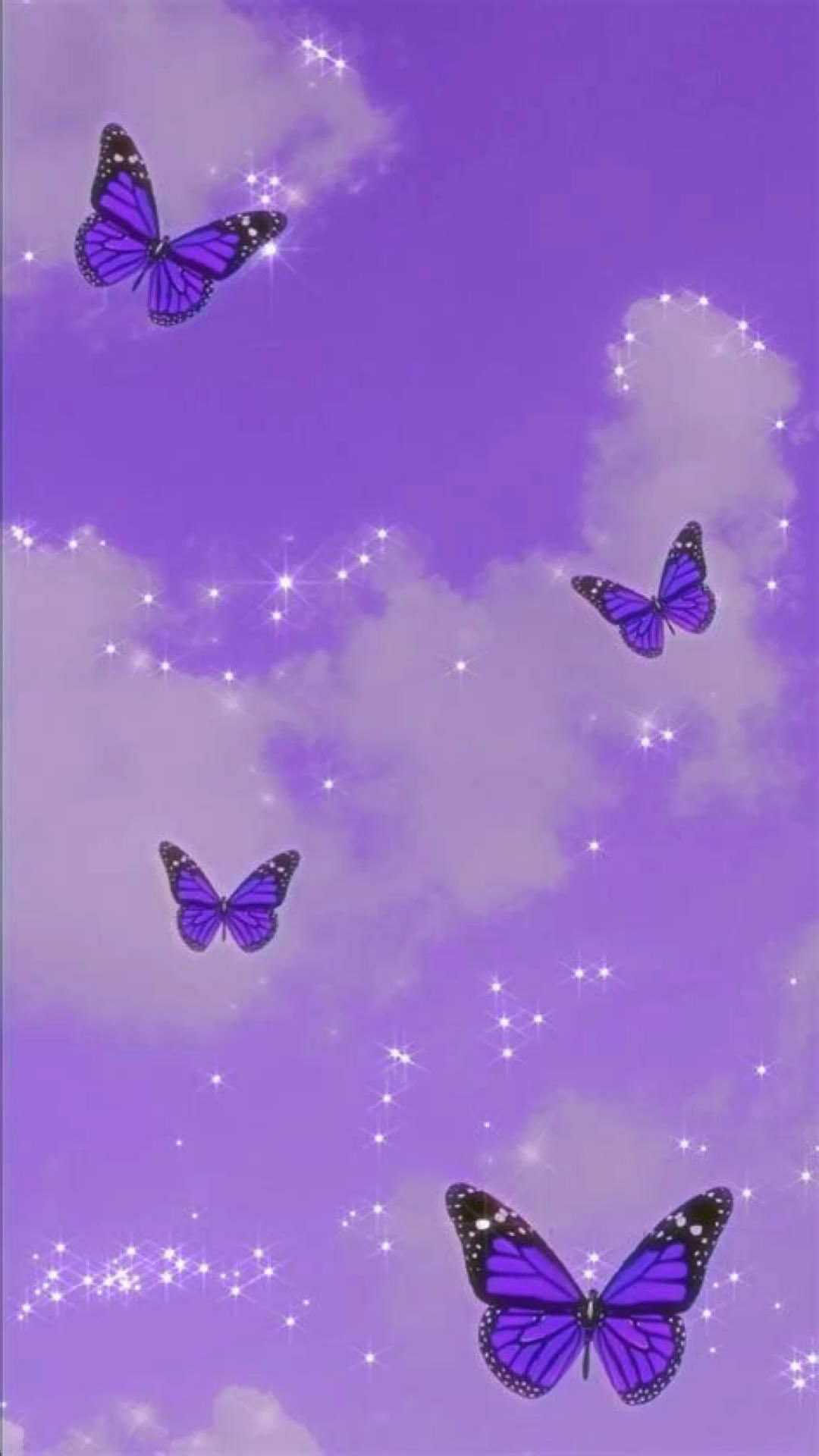 1080x1920 Purple Butterfly Wallpaper