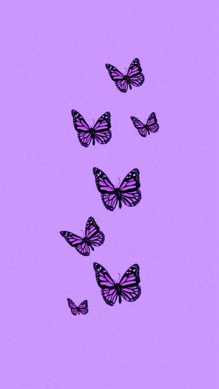 720x1280 Purple Butterfly Wallpaper