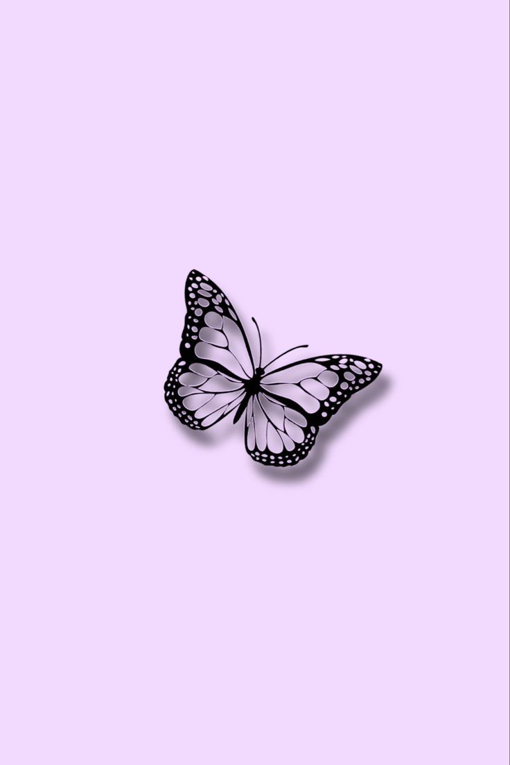736x1104 Purple butterfly wallpaper, Wallpaper