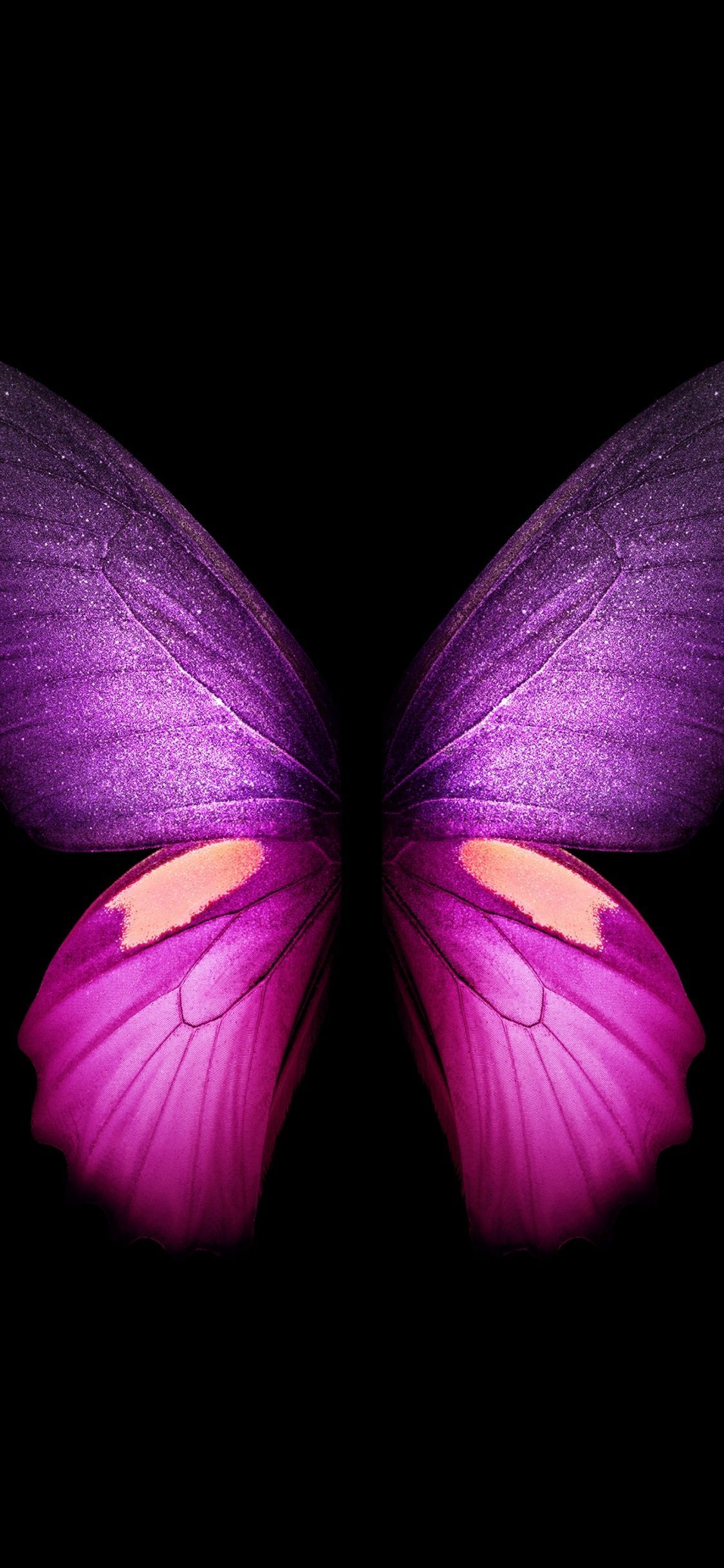 1125x2436 Purple Butterfly Wallpaper 4K, Wings