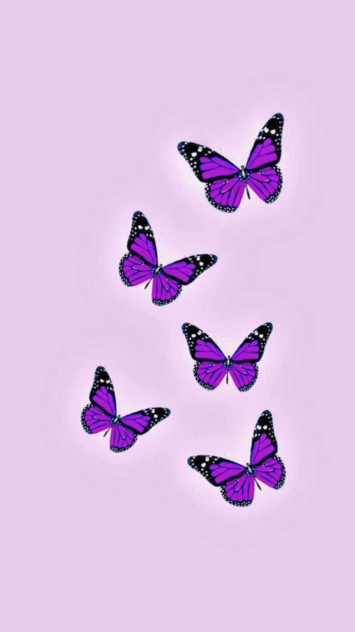 720x1280 Purple Butterfly Wallpaper
