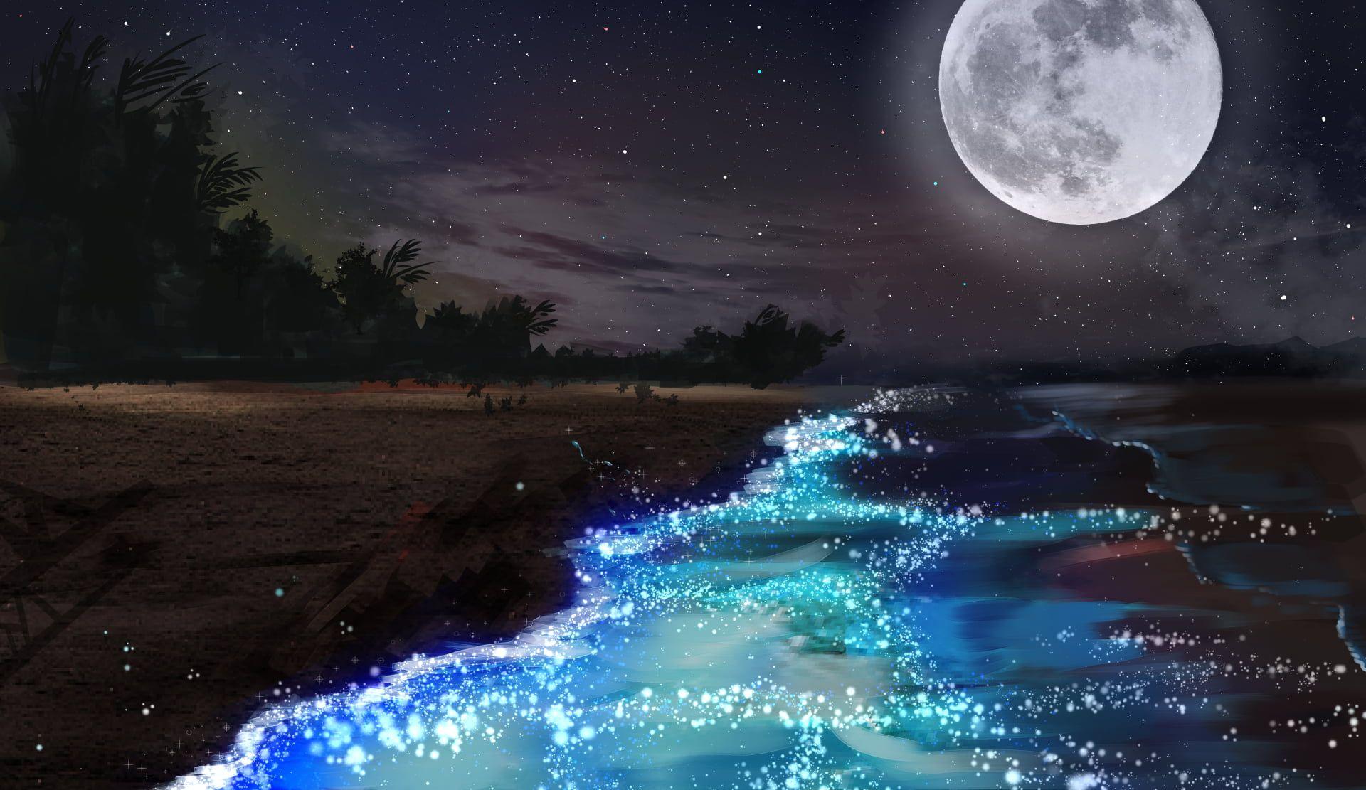 1920x1111 HD wallpaper: full moon wallpaper, night, forest, stars