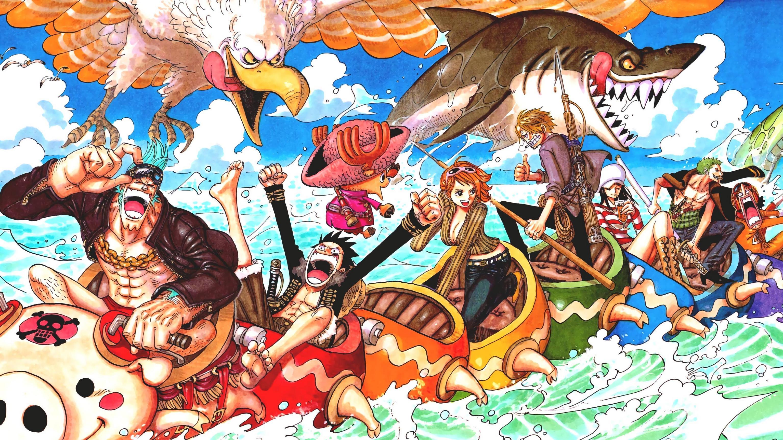 Straw Hat Pirates Wallpapers - Top Free Straw Hat Pirates Backgrounds