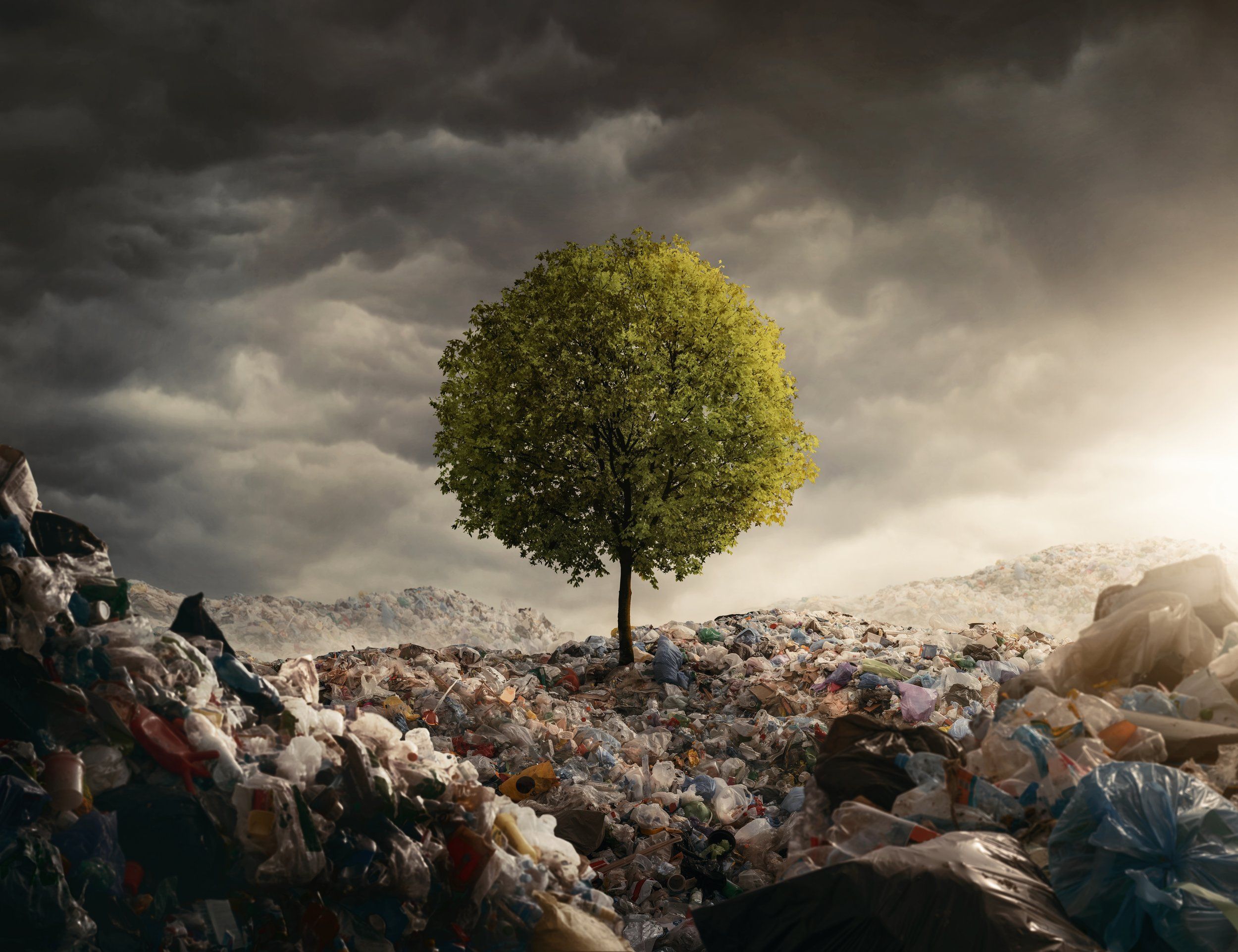 2500x1921 Waste Management Explained: A Guide