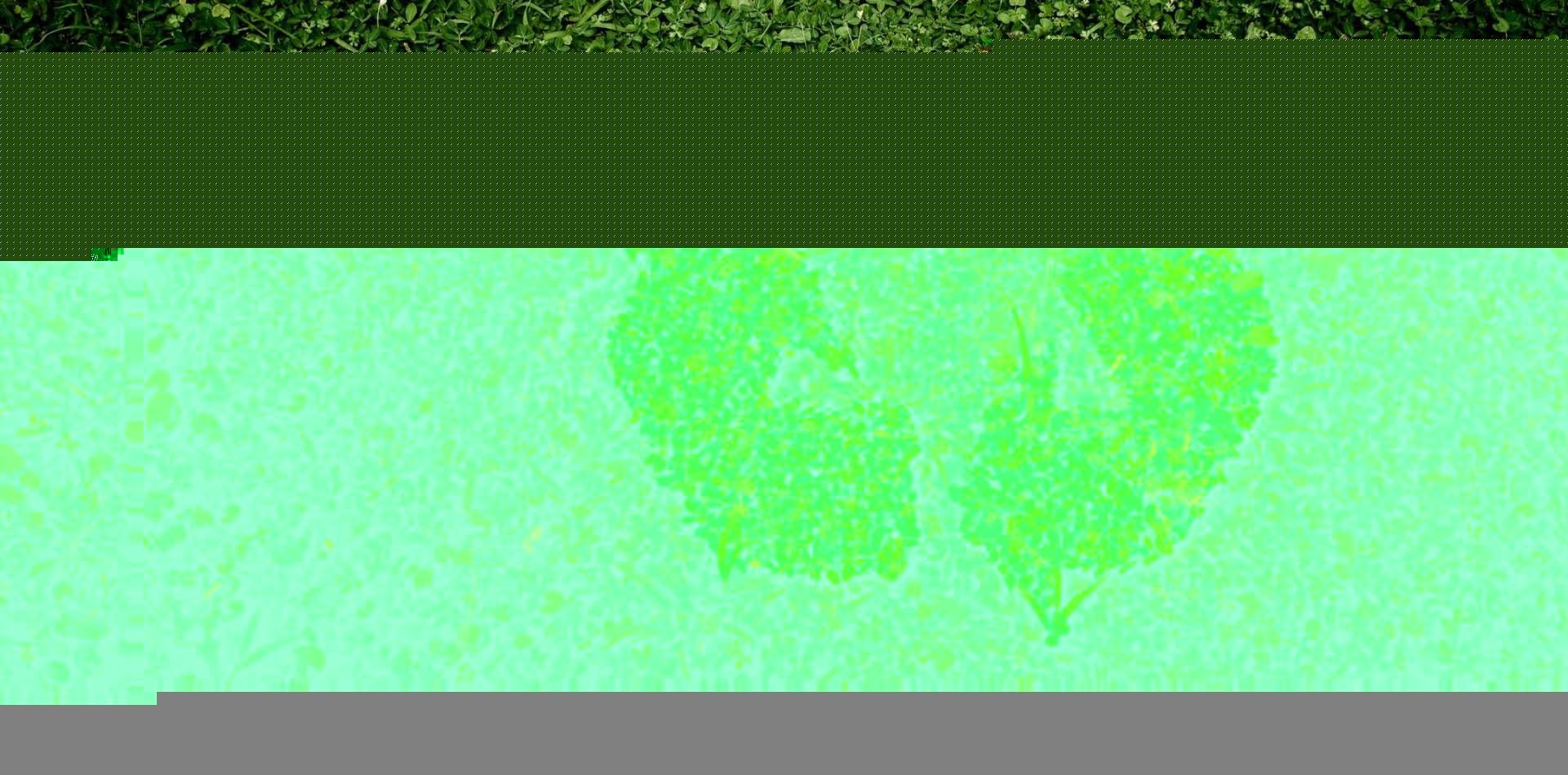 1921x950 Home