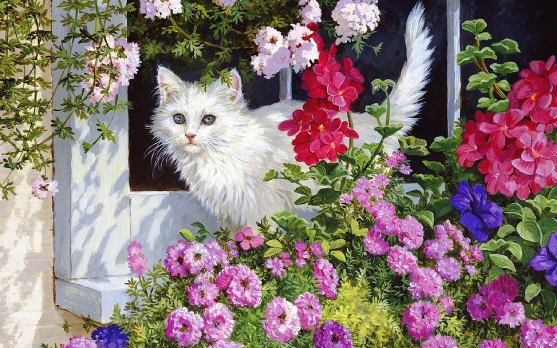 Cat and Flower Wallpapers - Top Free Cat and Flower Backgrounds