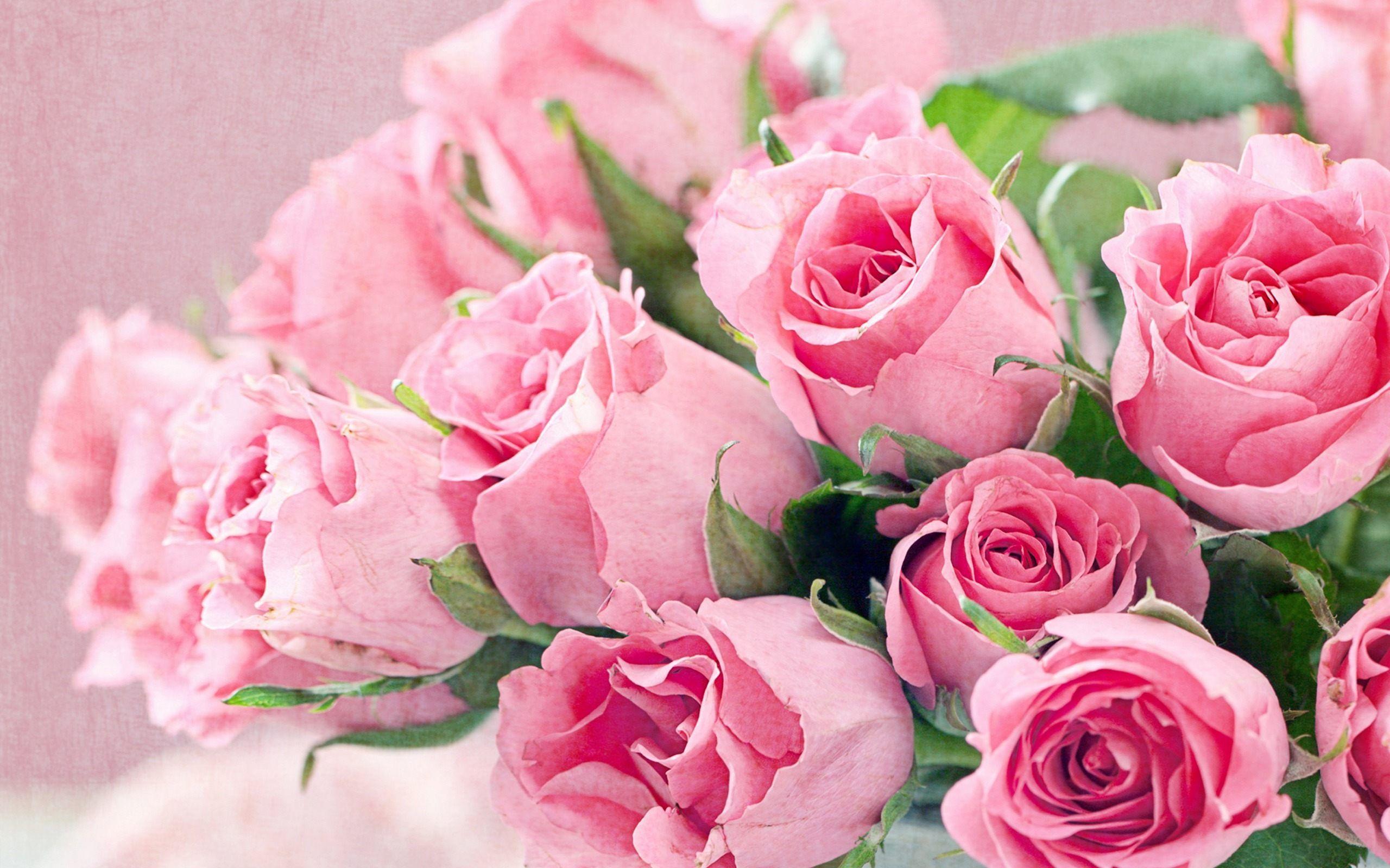 2560x1600 Pink Flower Wallpaper