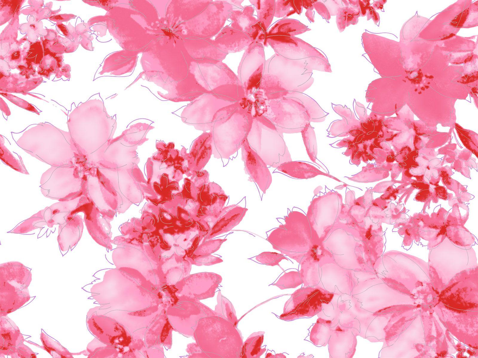 1600x1200 Pink Flower Wallpaper. HD Wallpaper Pulse