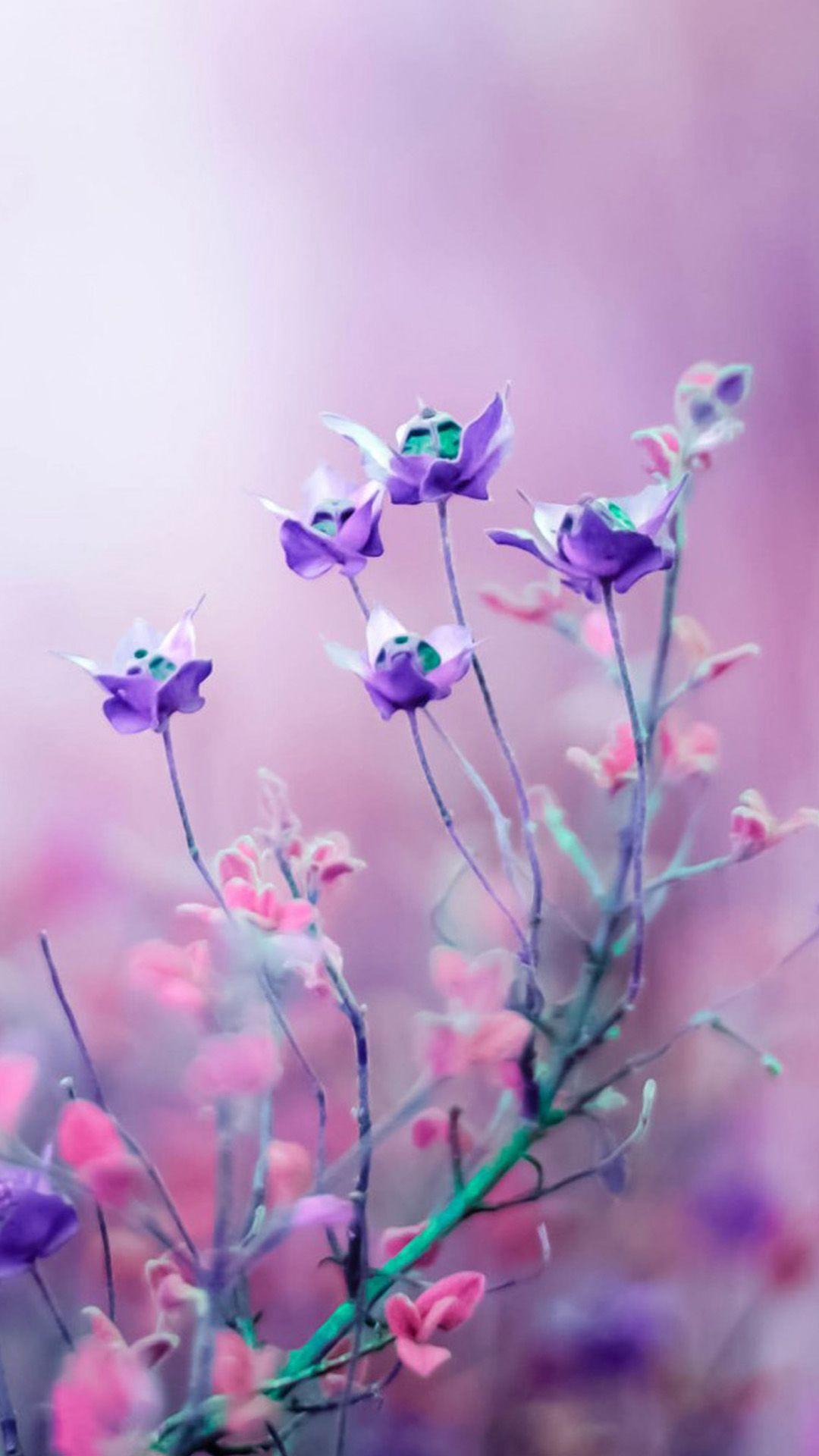 1080x1920 iphone 7 flower wallpaper purple and pink flower iphone 7