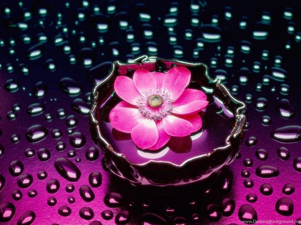 1024x768 3D Pink Flower Wallpaper HD Wallpaper Desktop Background