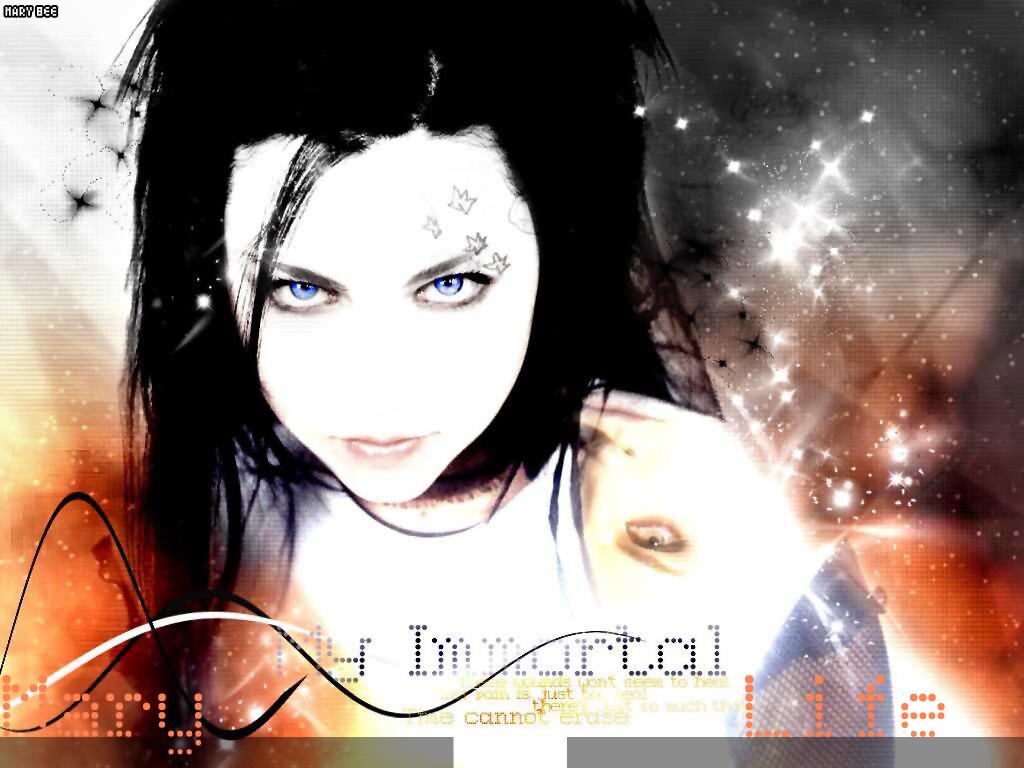 1024x768 Sonata Arctica Wallpaper