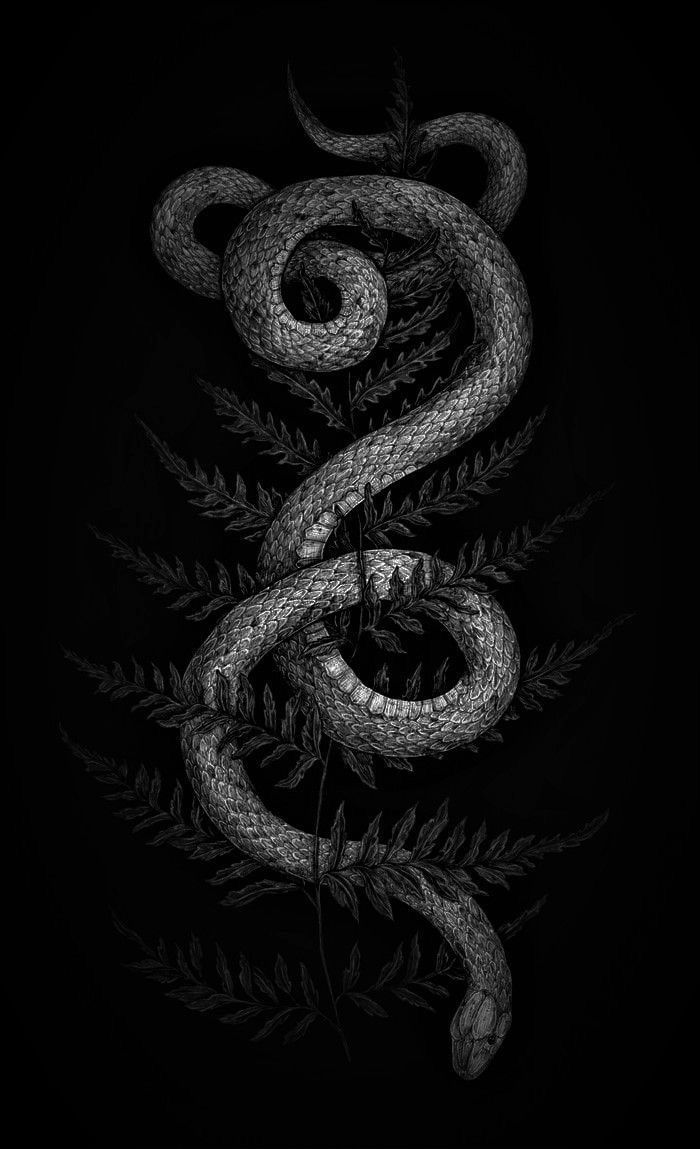 700x1149 Wallpaper.. Background. Snake