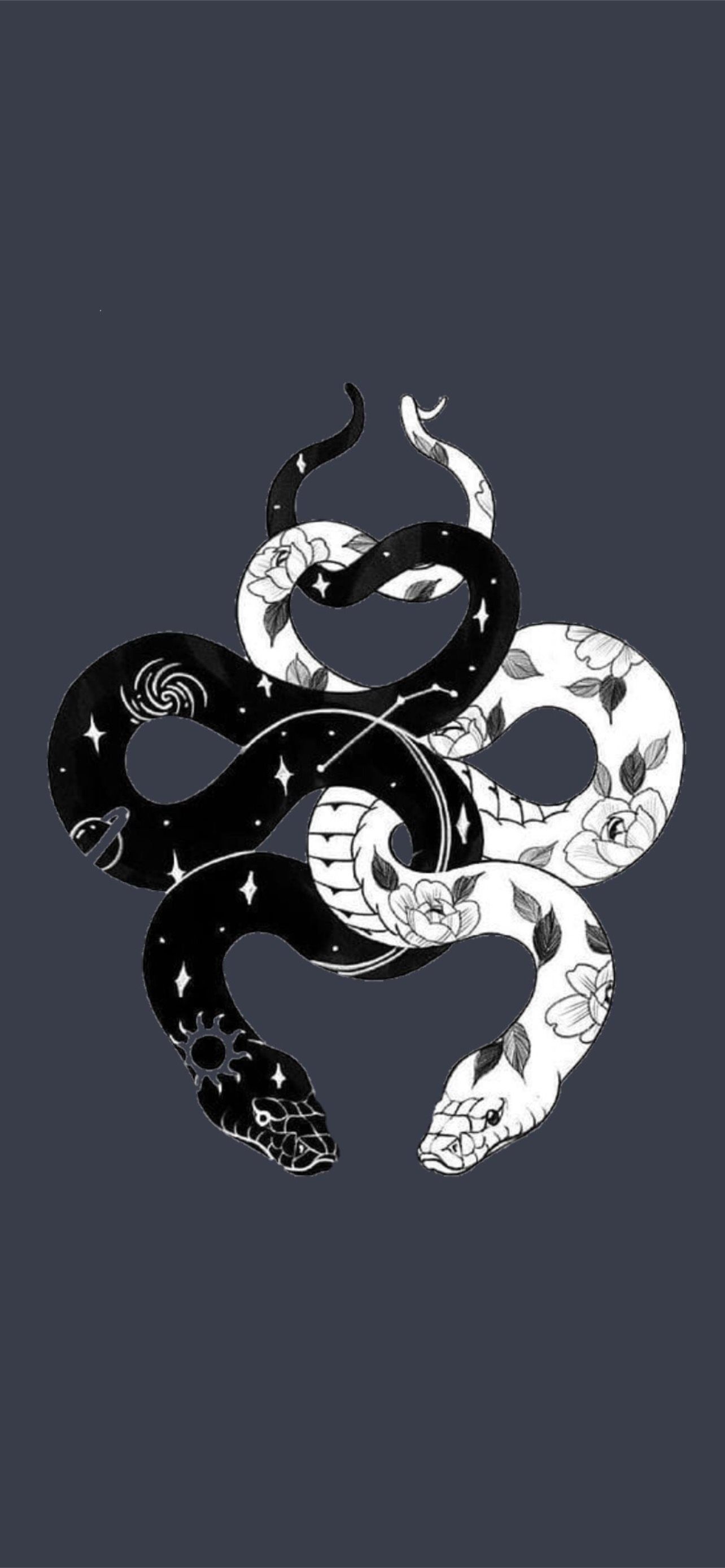 1284x2778 Snake Art iPhone Wallpaper